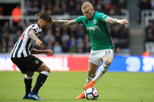 队背后忠实 队背后忠实