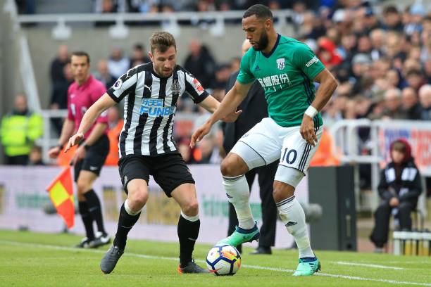 甘伯杯罗贝 甘伯杯罗贝